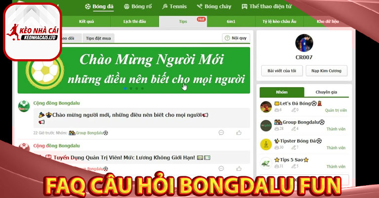 FAQ những câu hỏi thường gặp tại bongdalu fun 