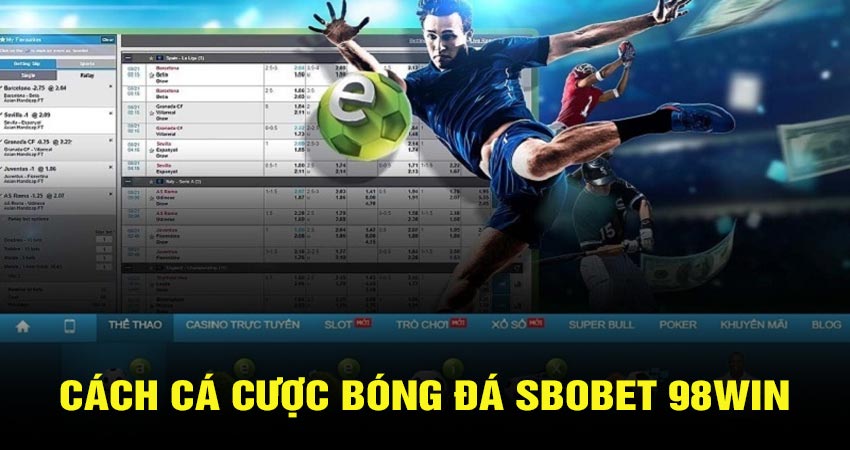 Cách cá cược bóng đá sbobet 98win cho người mới chơi